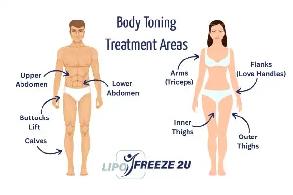 Graphic showing where you can have Body toning Treatment Waltham Abbey on your body